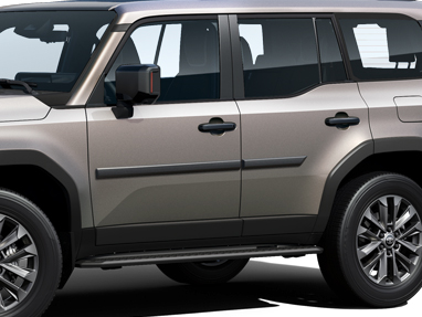 Молдинги дверей LC250 (TOYOTA) (34766)