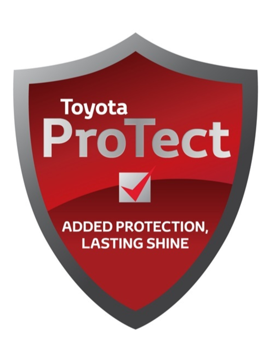Комплект зовнішнього захисту Toyota ProTect (25285)
