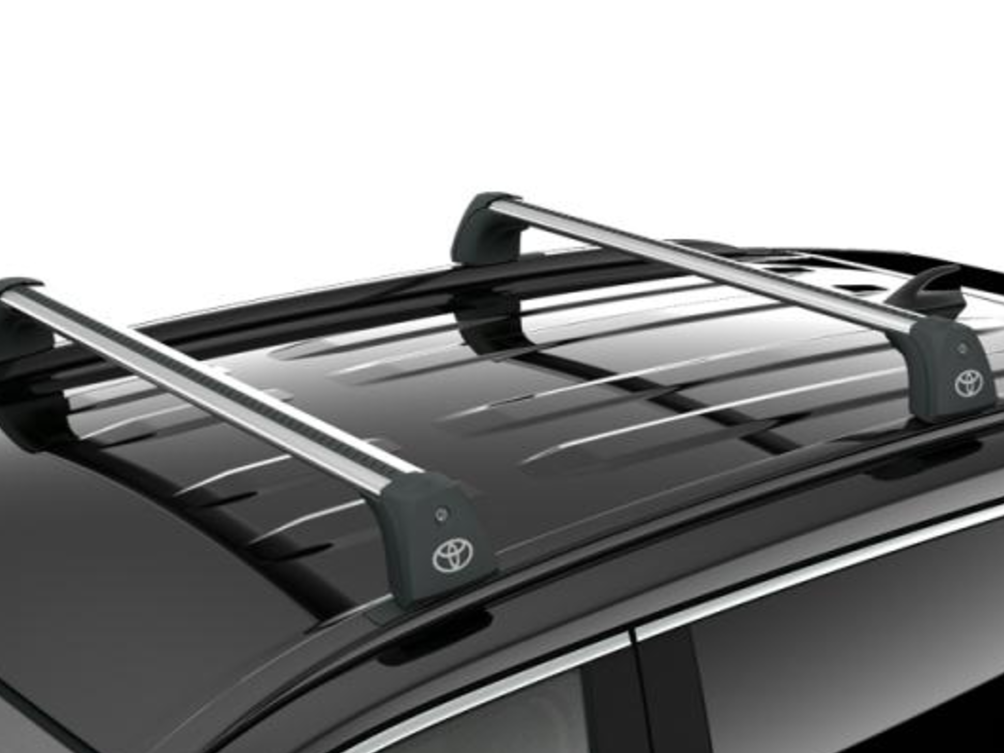 Поперечини даху багажні RAV4 (24887)